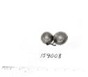 Click for 1 image(s) for this accession. FRUIT